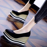 Heel Single Shoes Spring 2025 New Elegant Velvet Pine Shoes Thick Soles Comfortable Shallow Mouth Round High-Heeled