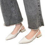 Low-Heeled Sandals Women In The Spring And Autumn Of 2025 New Thick Heel Single-Shoe Temperament Famous Pointed High