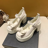 Thick And Mary Jane Women's Shoes 2025 Spring New Small Man With Bows And Skirts Small Leather