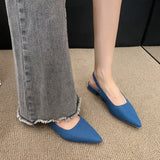 Low-Heeled Sandals Women In The Spring And Autumn Of 2025 New Thick Heel Single-Shoe Temperament Famous Pointed High