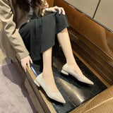 Slope And Coarse Heel Women's Shoes 2025 Autumn New Fairy Breath Net Red Pointed Gentle Single Shoes