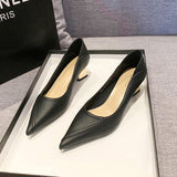 French Low-Heeled Single-Shoe Women 2025 Spring And Autumn New Nude Thick And Light Temperament Professional High