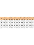Piece Set Women Zipper Top And Pants Suits Matching Sets Sportswear Sports Outfits Streetwear Clothing 2023 Spring