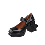 Heel Mary Jane Shoes Women 2025 Spring Autumn New Thick Heel Women's Shoes With Small Leather Shoes Women's Fashion