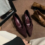 The Autumn Of 2025, The New Temperament Velvet Heady Kitten Heel Single Shoes Women's Shoes French Retro Women's Shoes High