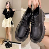 2025 Autumn British Wind Students Retro Thick-Soled Single Shoes Small Pine Shoes