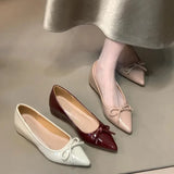 Commuting Mary Jane Evening Shoes Tip Commuting Single Shoes Women 2025 New Fashion Shallow