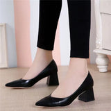 Women's Shoes 2025 New Autumn Korean Version Of The Pointed-Headed Single Shoes Women's Thick Heel Sexy High Heels Professional