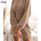 PETAL Honeycomb Knit Brown Sweater Dress Woman Casual Long Sleeve Long Sweater Dress 2023 Autumn Winter Pullovers