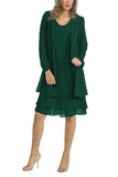 Shipping Mother of The Bride Dresses 2021 Chiffon Plus Size Long Sleeve Party Gown robe de soir¨¦e de