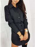 Women OL T Shirt Dress Elegant Long Sleeve Loose shirt Mini Ladies Dresses Dames Casual Plain Streetwear