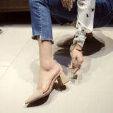 Spring And Summer Net Red Transparent Pointed Thick Heel High Heels Women In The Head Half Slippers Lazy