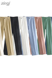 Waist Zipper Pants Chic Office Lady Casual Pantalon for Women Vintage Female Trousers 2023 Solid Straight Women's