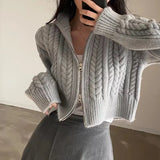 Autumn And Winter New Korean Version Of INS Retro Temperament Students Double Zipper Splet Sweater Coat Women Knitted Open