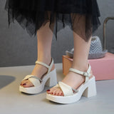 Zingj Women Summer 2023 Fashion Casual Platform Bottom With Skirt High Heel Thick Heel Shoes A Word With Beach Shoes