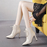 Black High Hedley Boots Women 2025 New Autumn/Winter With Pointed Boots Side Zipper Coarse And Martin