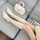 The Knee Boots Wear The New Autumn And Winter New Small Fashion Casual Thin Velvet Face Pointed Knight