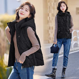 Down Cotton Vest Female Autumn Winter 2024 New Korean Version Vest Stand Collar Short Horse Clip All-Padded Clothes Vest Coat-Outfit