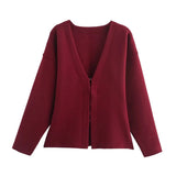 Women's INS Explosion V-Neck Long Sleeve Simple Knitted