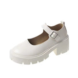 Women's 2025 New Mary Jane Women's Shoes Thick Heel Thick-Soled JK Uniform Single-Shoe High-Heeled Women's Retro English