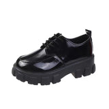 2025 Autumn British Wind Students Retro Thick-Soled Single Shoes Small Pine Shoes