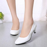 New Spring And Autumn Women's OL Professional Single Shoes Leather Shoes Round Head Low Fashion Women's Shoes