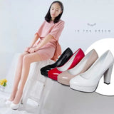 Women's High Heel Single Shoes Thick Heel PU Waterproof Table Four Seasons OL Working Shoes Long-Term