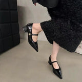 Small Leather Shoes Women 2025 New Spring Thick Heel Low Heel High Heels Retro French Temperament Mary Jane Single