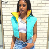 Women's Autumn Winter Crop Tops Fashion Puffer Lightweight Vest Contrast Color Sleeveless Down Streetwear Jacket