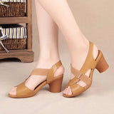 Summer New Fish Mouth Toe Fashion Roman High-Heeled Sandals Women Thicke Middle-A-Year-Old Mother