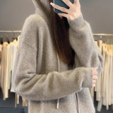 Hooded Sweater Autumn And Winter New Fashion Sweater Knitted Shirt Tsets Thicken Warm Sweater Hooded Sweater Hooded Sweater