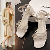 Drill Sandals In Women's Sandals 2025 Summer New Thick Heel With Buckle Fairy Wind Toess