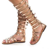 Summer New Large-Size Sandals Women's High-Bduct Belt Buckle Bottom Cool Boots Roman Fish Mouth Cool
