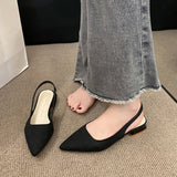 Low-Heeled Sandals Women In The Spring And Autumn Of 2025 New Thick Heel Single-Shoe Temperament Famous Pointed High