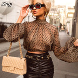 Women Hollow Mesh Net Perspective Long Lantern Sleeve Tops Transparent Blouse Clubwear Autumn