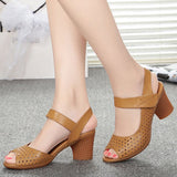 Sandals Women 2025 Summer New Leather Face Hollow Coarse Heel Cave Sandals Breathable External Wear Women's Shoes