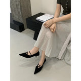 The Autumn Of 2025, The New Temperament Velvet Heady Kitten Heel Single Shoes Women's Shoes French Retro Women's Shoes High