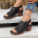 High-Heeled Sandals Summer New Hollow Fish-Mouthed Shoes Coarse Heel Breathable Sexy