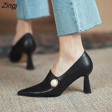 Women Fashion Light Brown High Quality Heel Shoes for Autumn Amp Spring Lady Classic Comfort Stylish Black Shoes Women