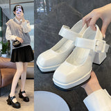 Heel Mary Jane Shoes Women 2025 Spring Autumn New Thick Heel Women's Shoes With Small Leather Shoes Women's Fashion