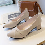 Heel Single Shoes Women 2025 New Spring And Summer Small Fragrant Wind Soft Leather Soft Sole Commuting Women's Shoes Square Head Gentle Mary Jane
