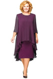 Shipping Mother of The Bride Dresses 2021 Chiffon Plus Size Long Sleeve Party Gown robe de soir¨¦e de