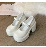 Zingj Simple Leather Face High Heels Female 2023 Spring And Autumn New Thick With High Foreign Style Model Single Shoes Ins