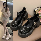Jane Shoes Women 2025 Autumn And Winter New Fashion Round Head Thick Leather Shoes Thick Sole Single
