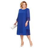 Shipping Mother of The Bride Dresses 2021 Chiffon Plus Size Long Sleeve Party Gown robe de soir¨¦e de