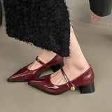 Small Leather Shoes Women 2025 New Spring Thick Heel Low Heel High Heels Retro French Temperament Mary Jane Single