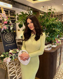 Zingj Sexy Elegant Dress Solid Color Long Sleeve Round Neck Wrap Hip Long Skirt Women's