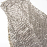 Sequin Mesh Long Dress-Outfit