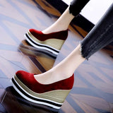 Heel Single Shoes Spring 2025 New Elegant Velvet Pine Shoes Thick Soles Comfortable Shallow Mouth Round High-Heeled
