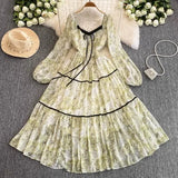 And Autumn New Printing Waist Thin Swing Dress 2025 French Holiday Senior Women's Clothing Splicing Long